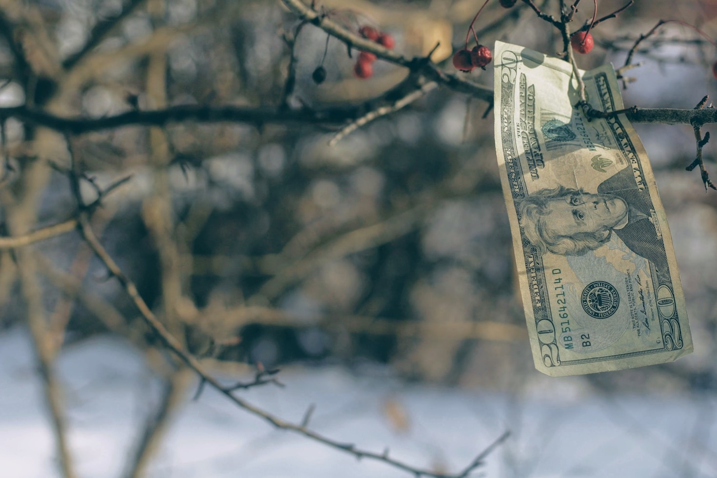 Empowering Small Businesses with Financial Expertise